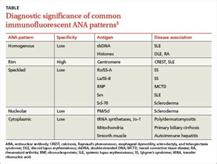 What does a positive ANA mean?