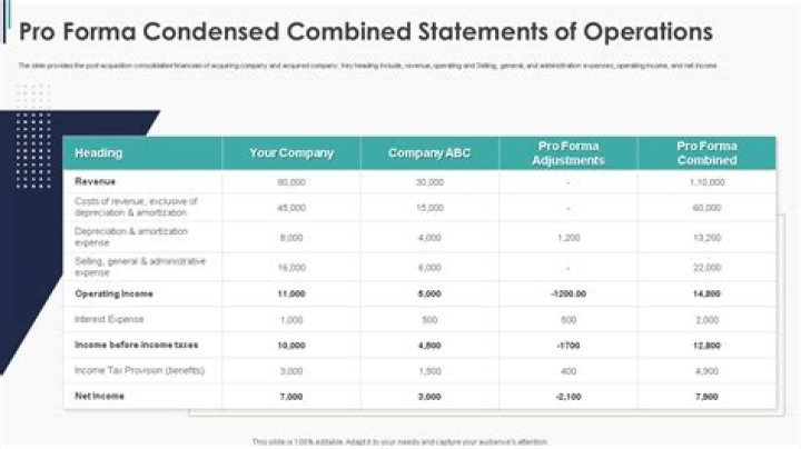 What does a pro forma statement include?