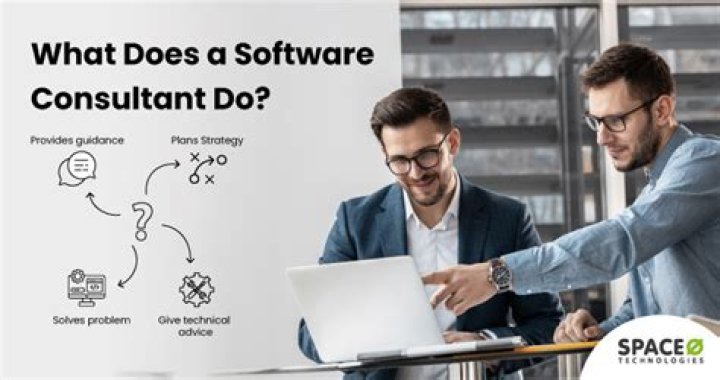 What does a software consulting company do?