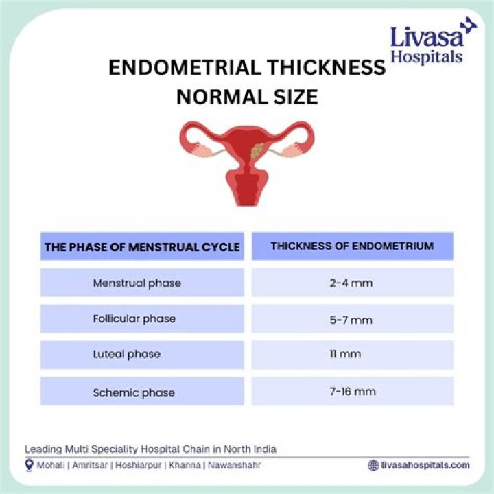 What does a thickened endometrium mean?
