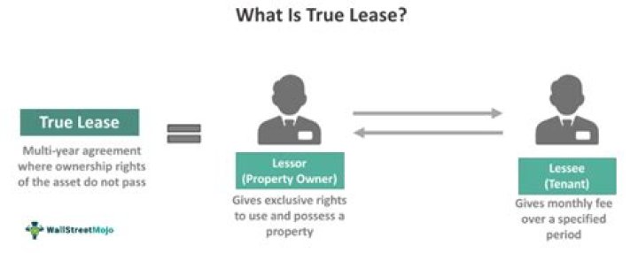 What does a true lease mean?