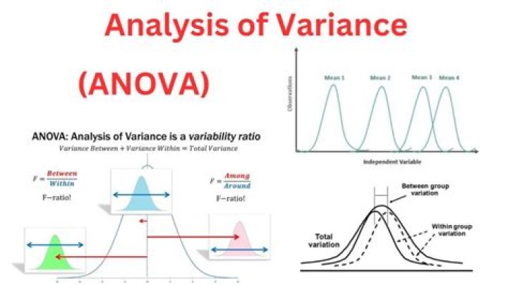 What does an analysis of variance tell you?