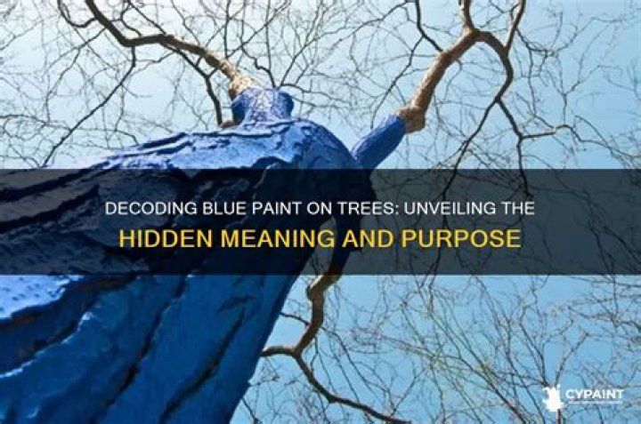 What does blue paint on trees mean?