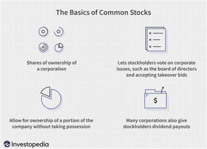 What does common stock mean?