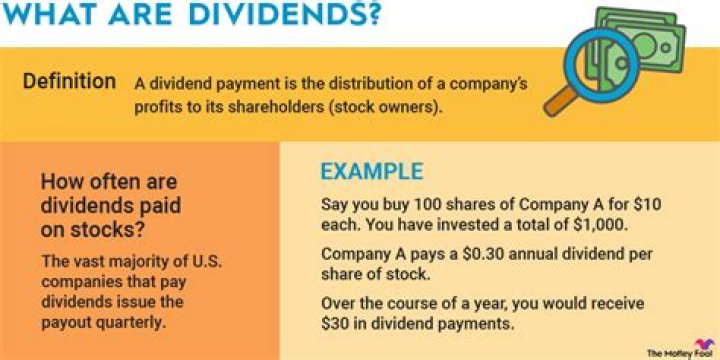 What does dividend issued mean?