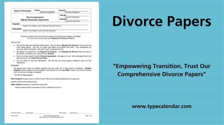 What does divorce pro se mean?