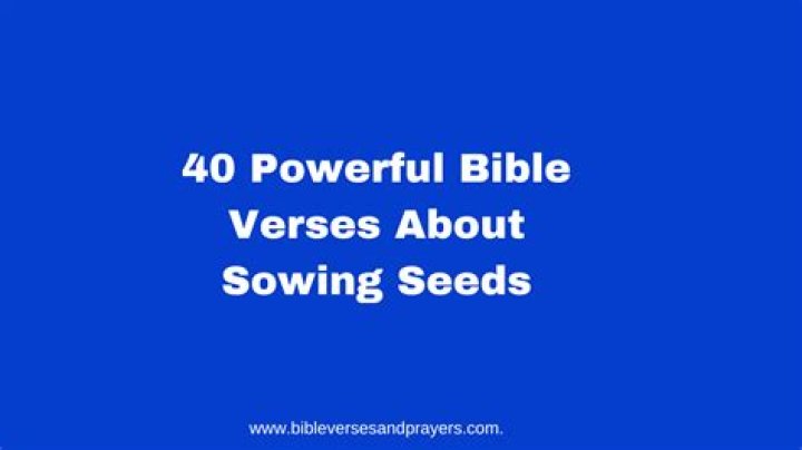 What does God say about sowing seeds?