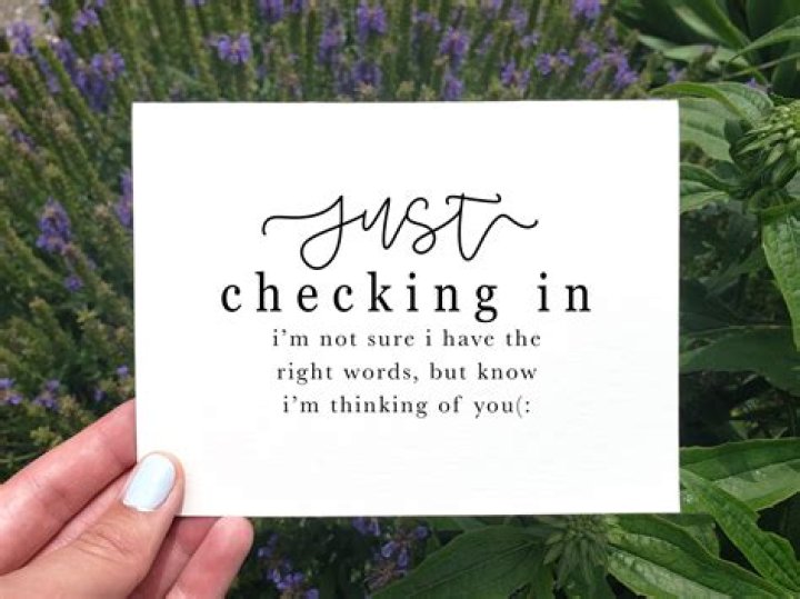 What does it mean to say Just Checking In on someone?