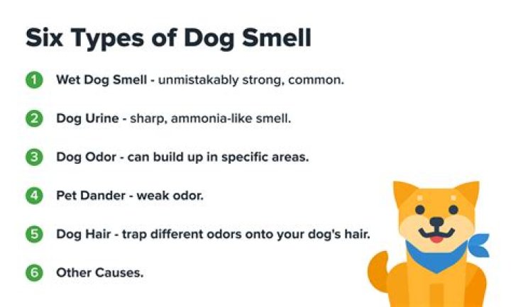 What does Nesta smell like?