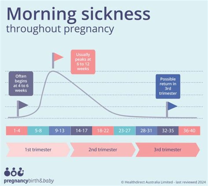 What does no morning sickness mean?