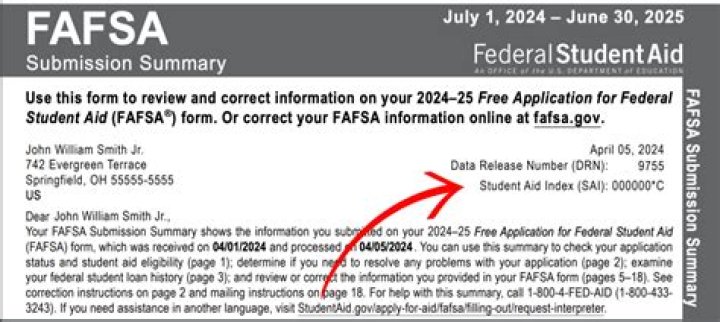 What does processing mean on FAFSA?