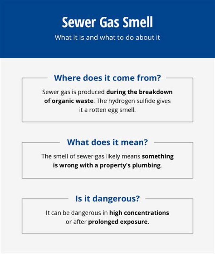 What does sewer gas smell like in house?