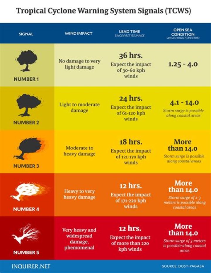 What does signal 11 mean police?