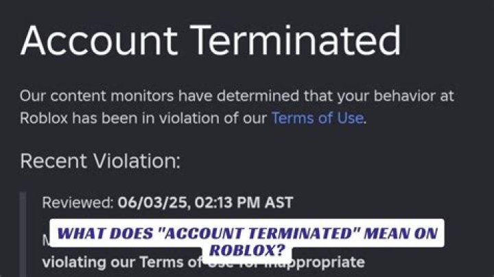 What does terminated status mean?