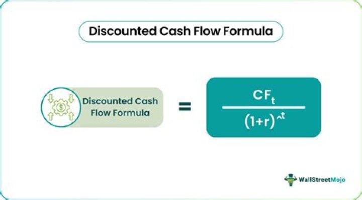 What does the discounted cash flow tell you?