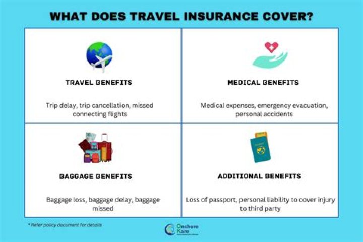 What does typical dental insurance cover?