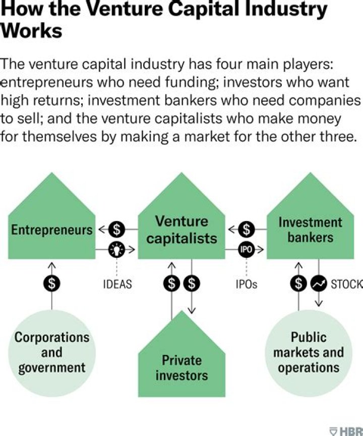 What does venture capital get in return?