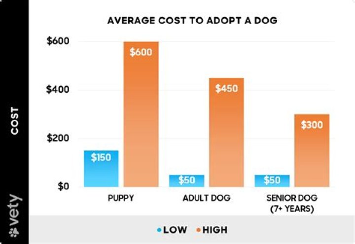 What dog cost $40000?