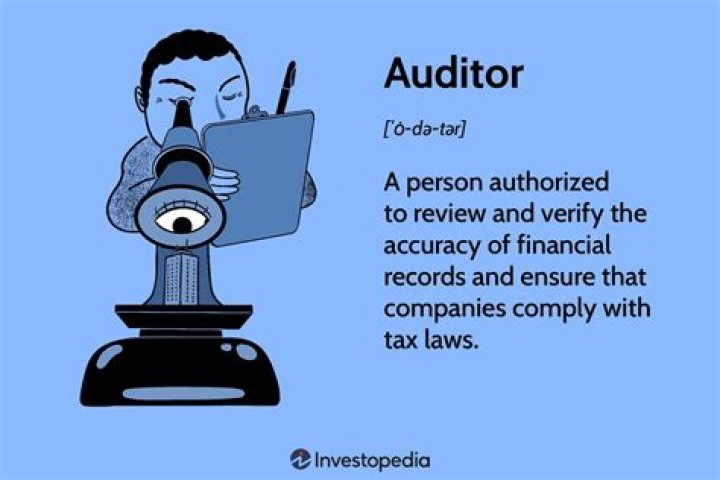 What exactly do auditors do?