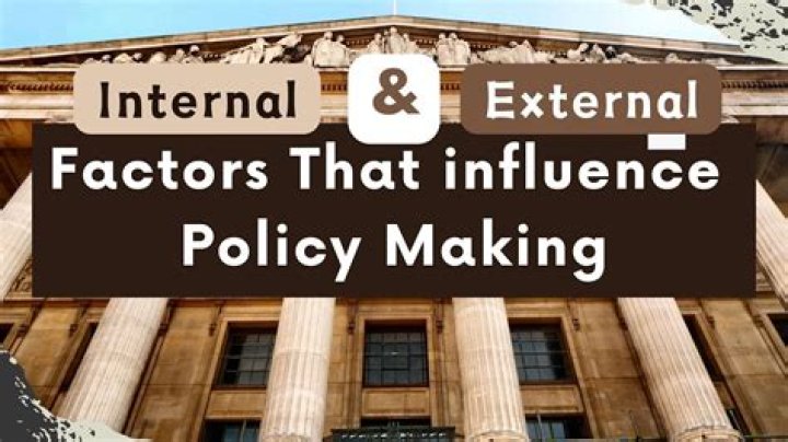 What factors influence public policy?