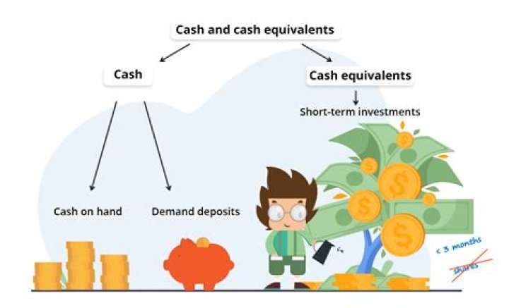 What falls under cash and cash equivalents?