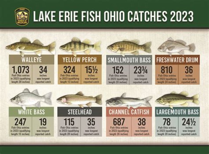 What fish in Lake Erie have teeth?