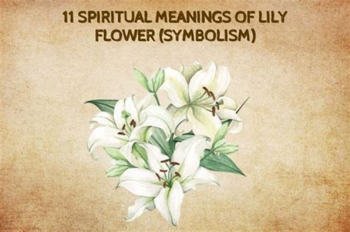 What flower symbolizes spirituality?