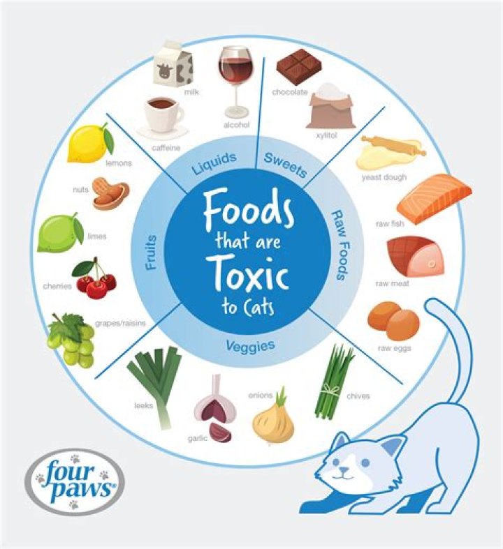 What foods are toxic to babies?