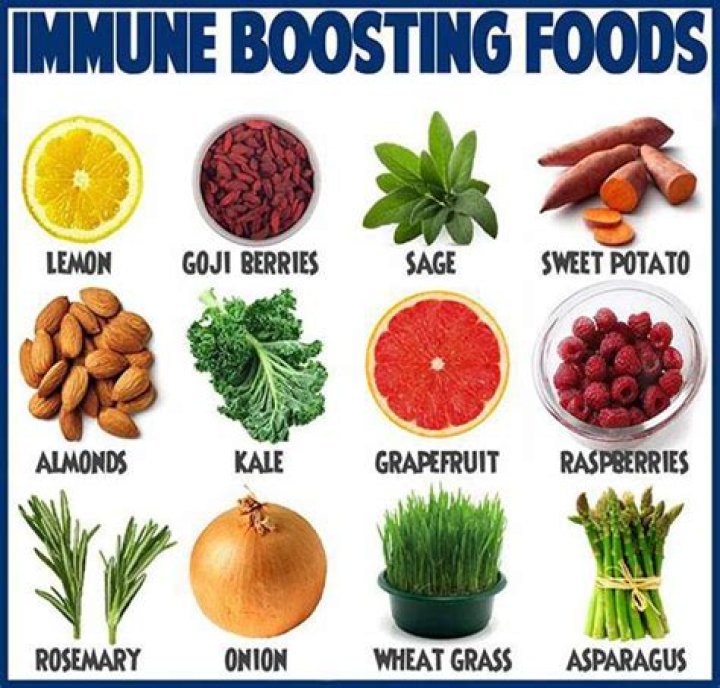 What foods boost immune system?
