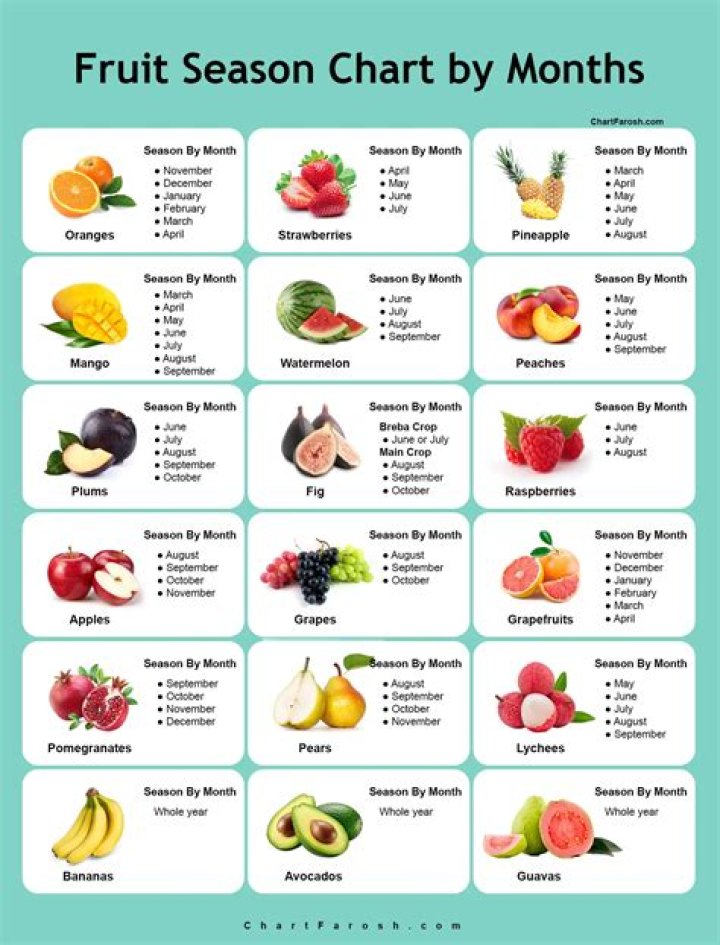 What fruits produce the first year?