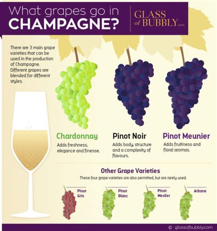 What grape is used in Champagne?