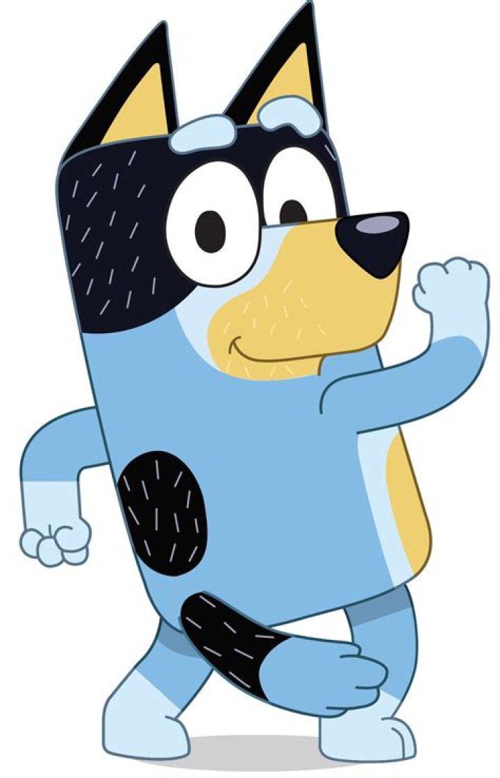 What happened to Chili's mom on Bluey?