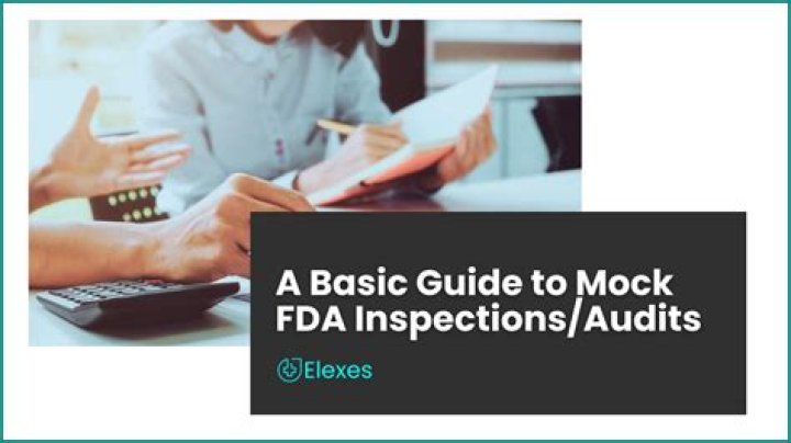What happens during an FDA audit?