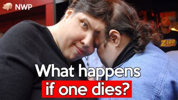 What happens if grunt dies in me2?