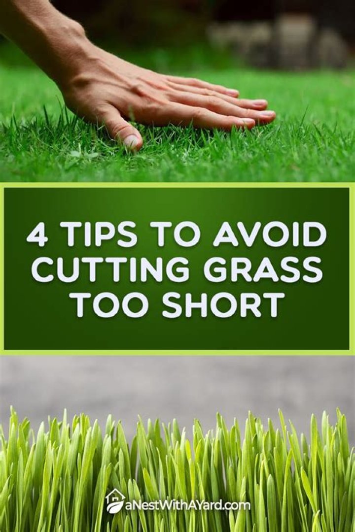 What happens if you cut grass too short?
