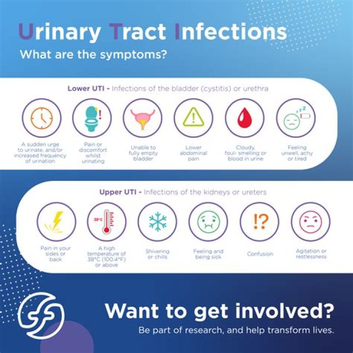 What happens if you let a urinary tract infection go untreated?
