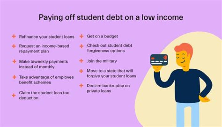 What happens if you never pay back student loans?