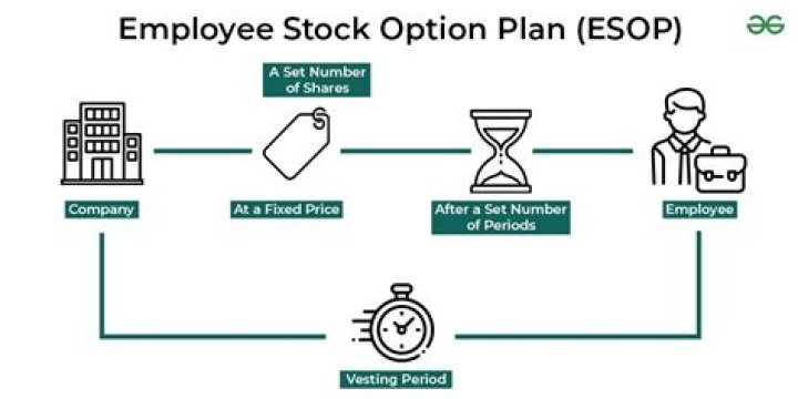 What happens when an employee exercises a stock option?