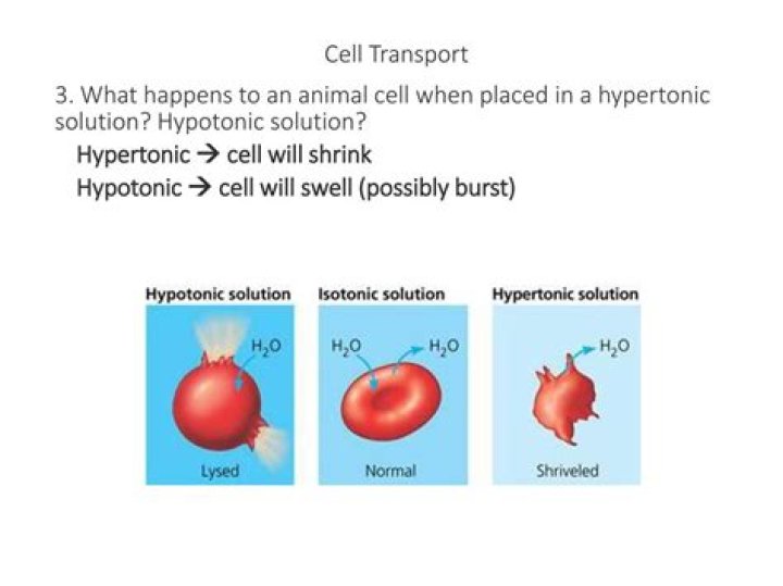 What happens when an LLC is dissolved?