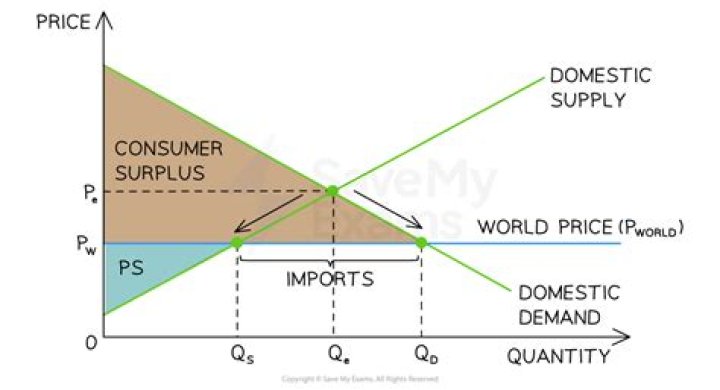 What happens when the world price is higher than the domestic price?