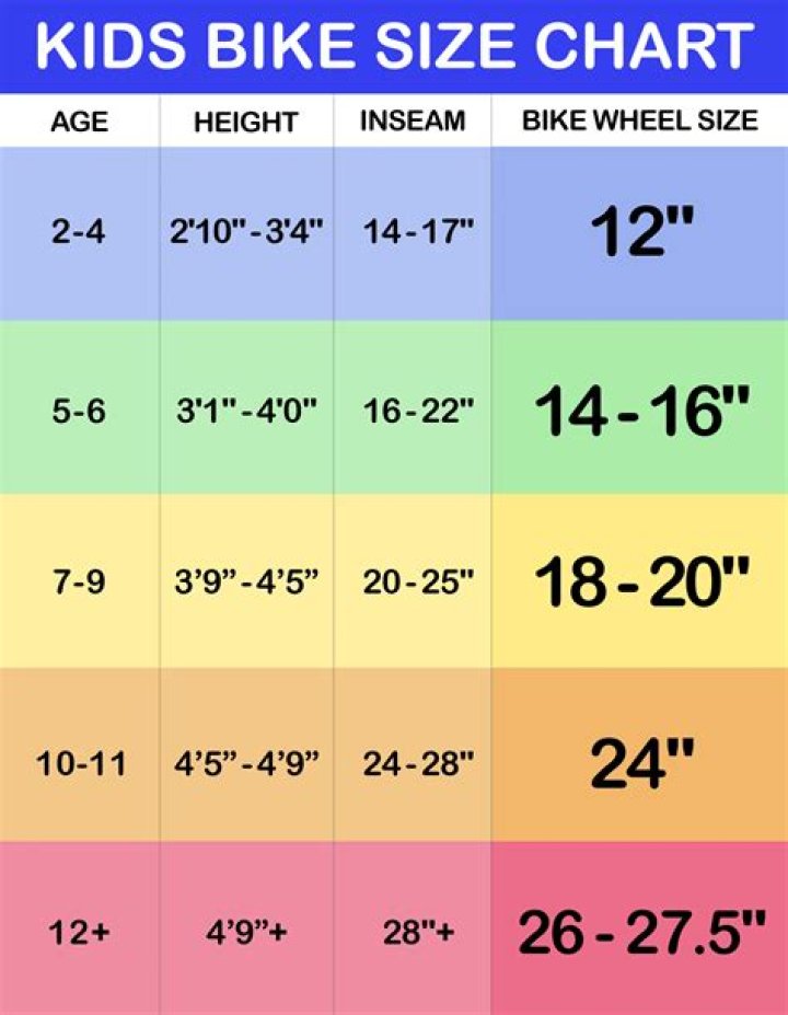 What height does a 24 inch bike fit?