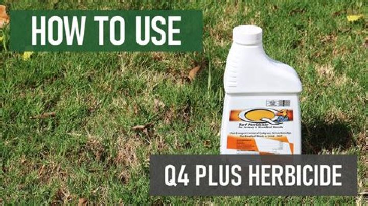 What herbicide is best?