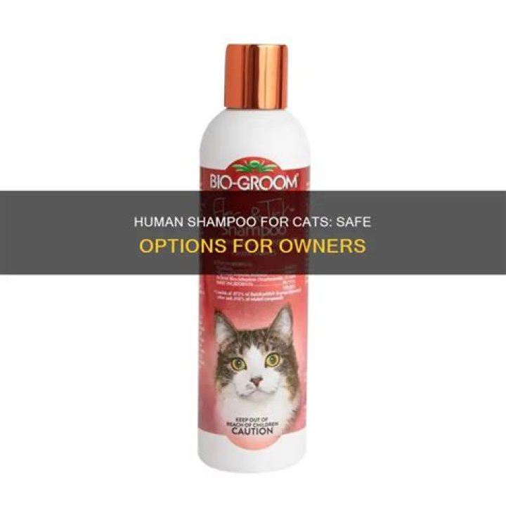 What human shampoo is safe for cats?