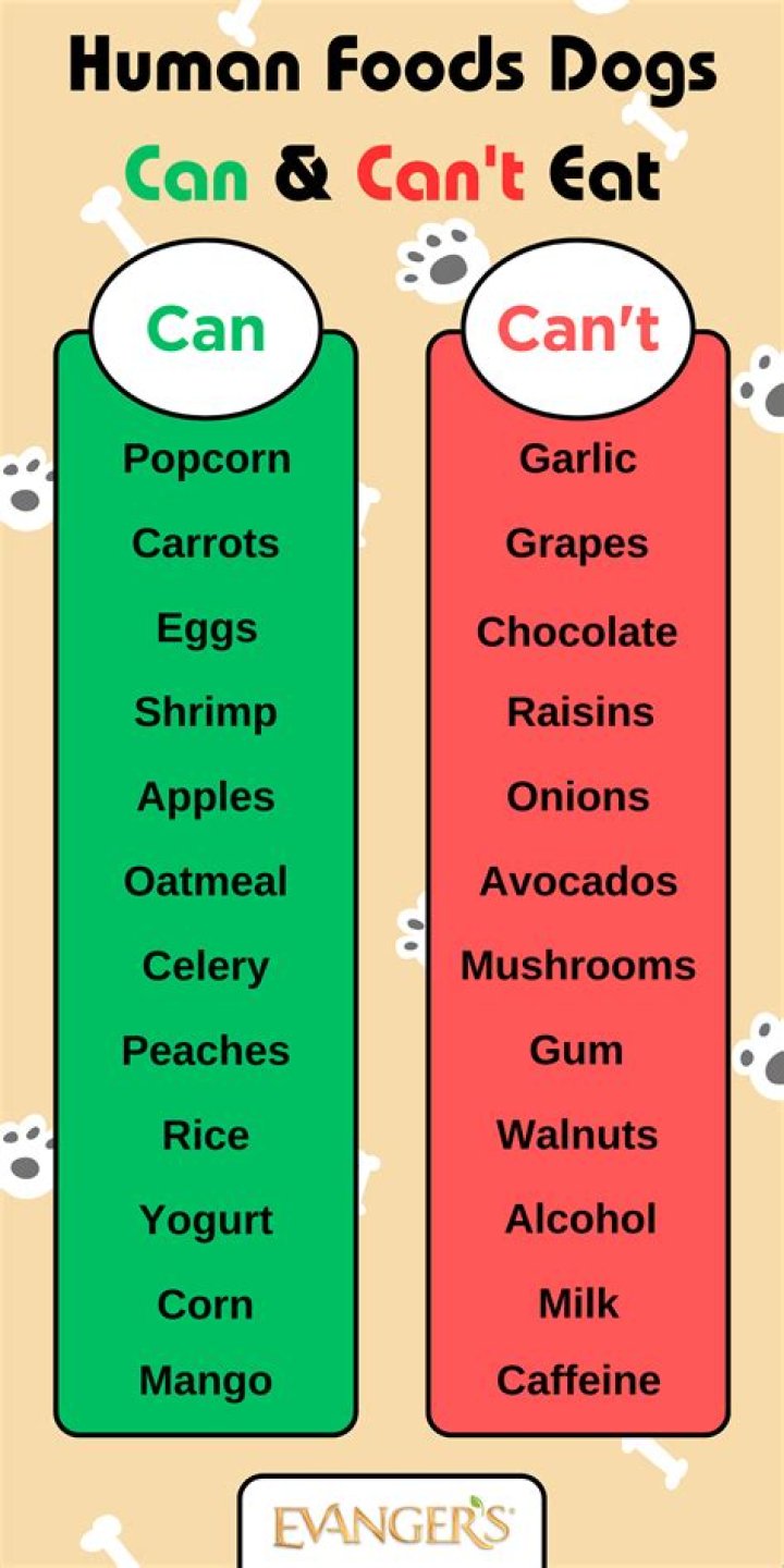What human sweets can dogs eat?