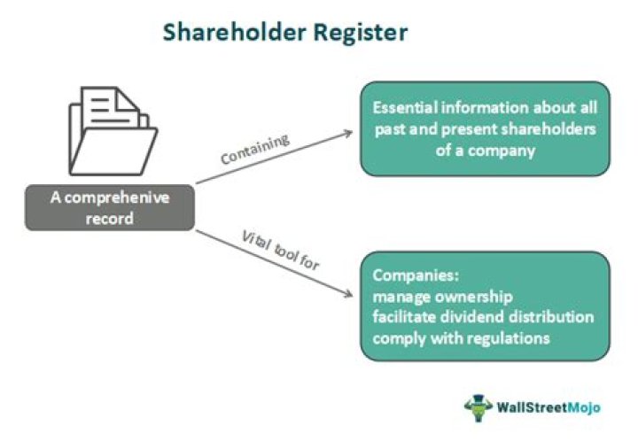 What information is a shareholder entitled to?