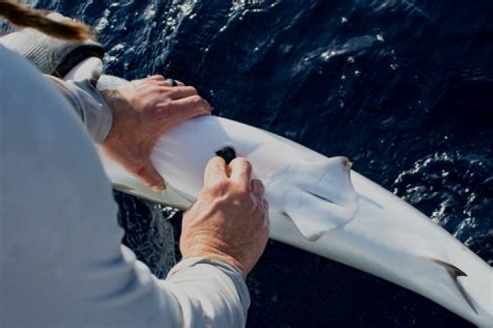 What is a 280F recapture?