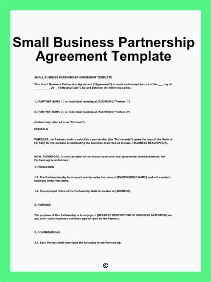 What is a 51/49 Business Partnership?