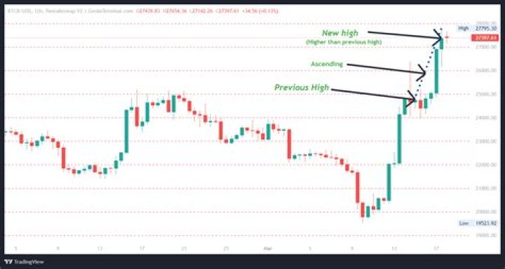 What is a correctly priced stock?