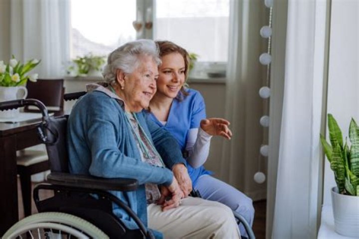 What is a day carer?