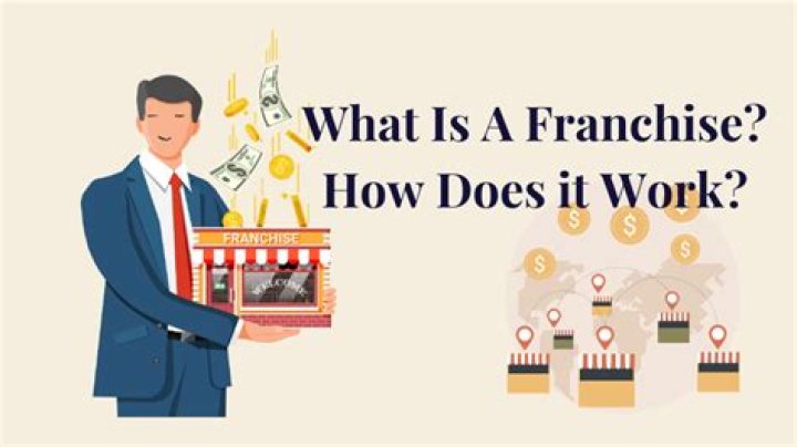 What is a franchise simple definition?